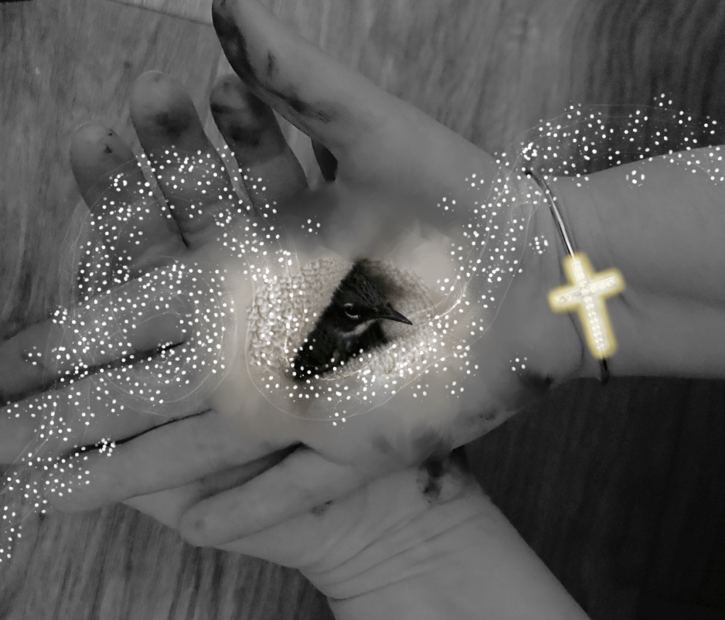 Remember the Baby&nbsp;Bird